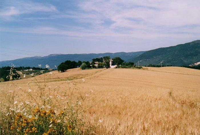 Casale Santomanno Vila Acquasparta Exterior foto